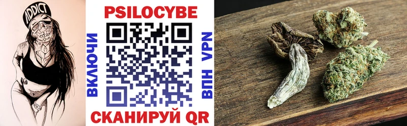 купить   Аткарск  Псилоцибиновые грибы мухоморы 